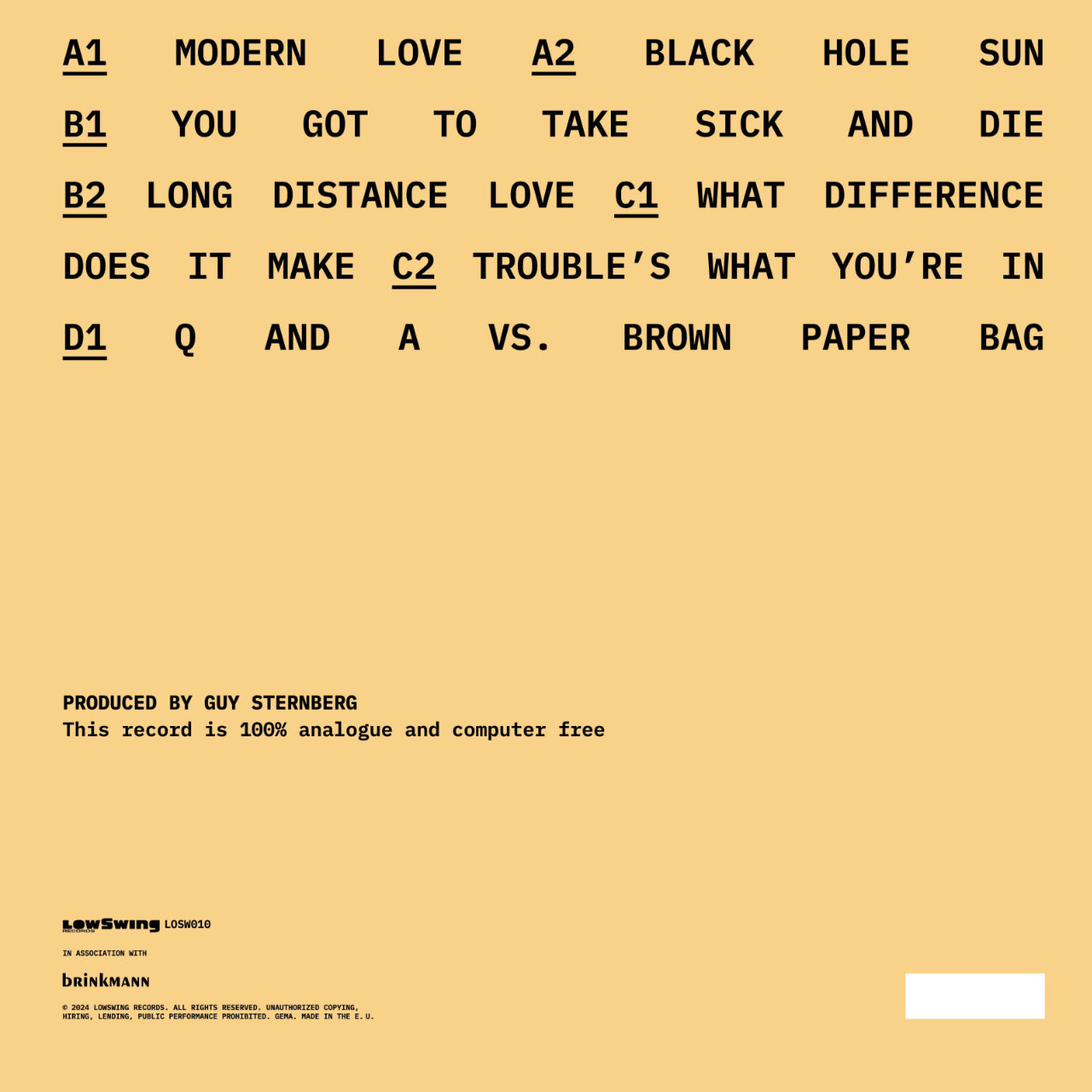 Fink The LowSwing Sessions Cover Backside