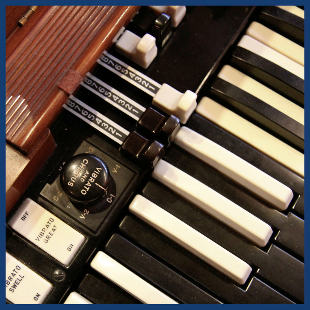 Tommy Schneider and Friends Hidden Port Inlay 2